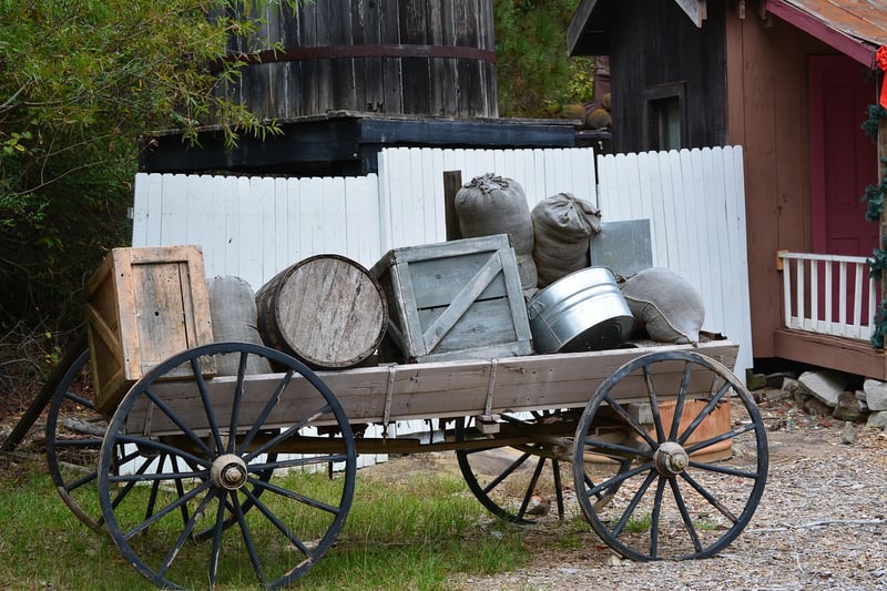 Pioneer Image